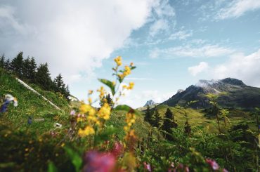 tino-rischawy-n89lLdDUBM4-unsplash